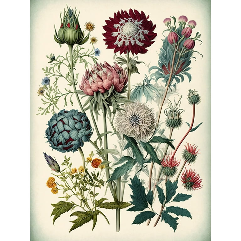 Fine Art Watercolour Paint : Rosa Gallery : Set of 28 : Botanical