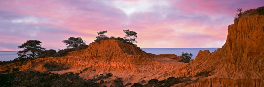 Eroded hill with ocean in the background Torrey Pines State Natural Reserve La Jolla San Diego California USA Canvas Art - Panoramic Images (27 x 9)