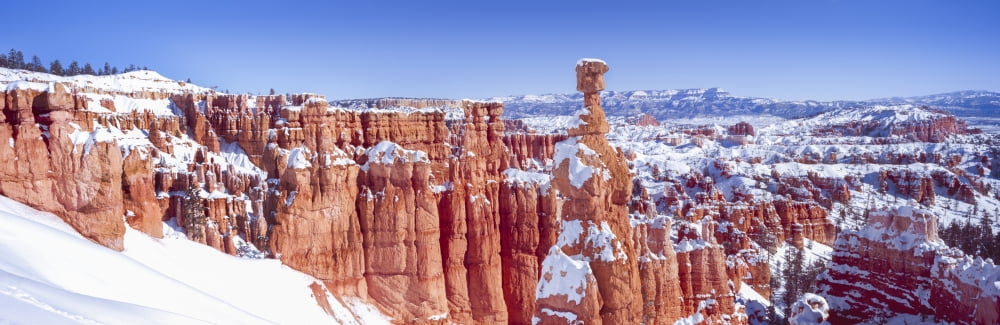 Eroded rocks in a canyon Bryce Canyon Bryce Canyon National Park Utah USA Canvas Art - Panoramic Images (36 x 12)