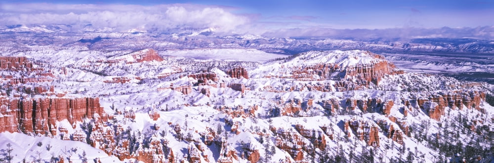 Eroded rocks in a canyon Bryce Canyon Bryce Canyon National Park Utah USA Canvas Art - Panoramic Images (36 x 12)