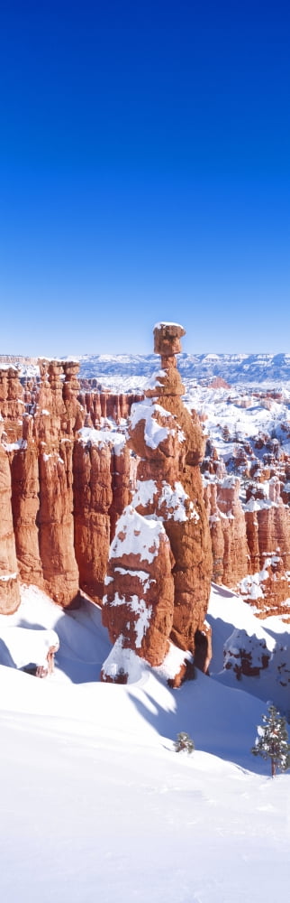 Eroded rocks in a canyon Bryce Canyon Bryce Canyon National Park Utah USA Canvas Art - Panoramic Images (36 x 12)