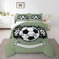 thumbnail image 1 of Erosebridal Football Sports Games Bedding Sets Twin with Comforter,Jungle Animal Lions Duvet Insert,Lightgreen Black Comforter Sets Twin Size,Ultra Soft Bedroom Decoration Reversible,2 Pieces, 1 of 8