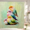 thumbnail image 1 of Erosebridal Transitional Bird Animals Shower Curtain 72Wx78L,Vintage Tie Dye Bath Curtain,Green Pink, 1 of 5