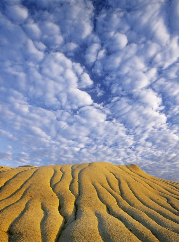 Erosion Channels On Rock Red Deer River Badlands Dinosaur Provincial Park Alberta Canada Canvas Art - Darwin Wiggett Design Pics (26 x 36)