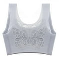 thumbnail image 1 of Ersazi Cotton Bras for Women Women's Stretch Plus Size Sports Bra Underwear Yoga Hollow Out Bra Gray Xxl, 1 of 4