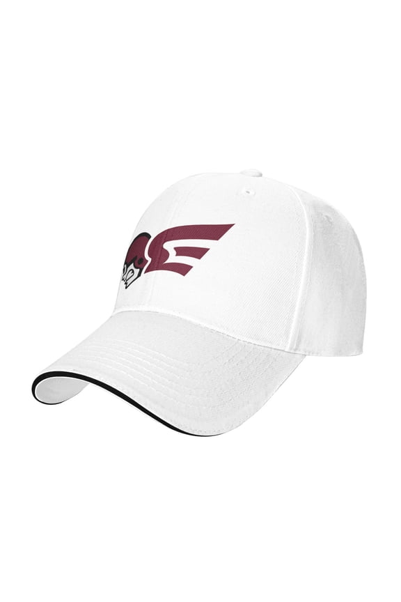 Erskine College Casual Sandwich Baseball Cap Adjustable For Men For Women