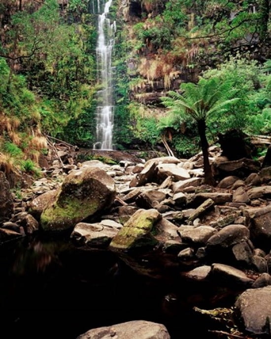 Erskine Falls Lorne Victoria Australia Canvas Art - Walter Bibikow DanitaDelimont (16 x 20)