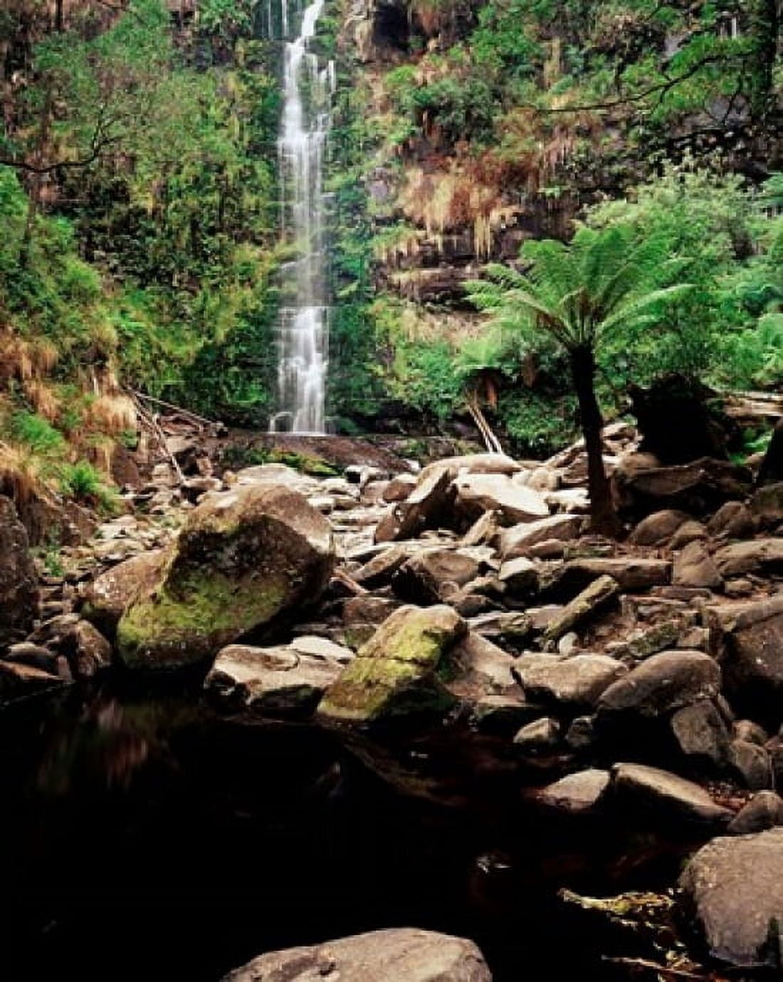 Erskine Falls Lorne Victoria Australia Canvas Art - Walter Bibikow DanitaDelimont (38 x 47)