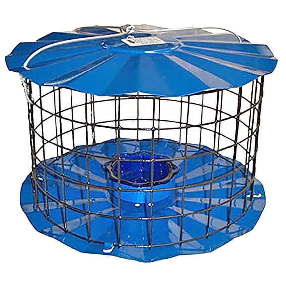 Erva Caged Bluebird Feeder, Blue
