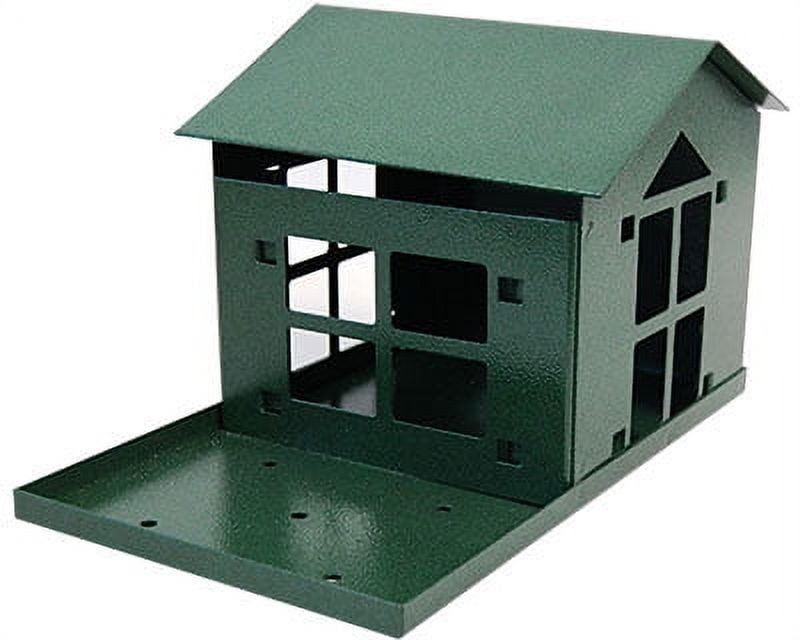Green Steel Squirrel Feeder with Clear Panels