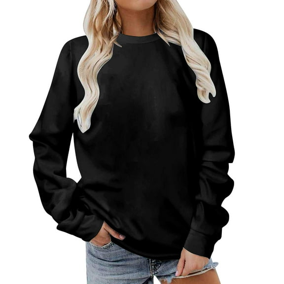 Erwazi Womens Crewneck Sweatshirts Long Sleeve Solid Color Casual Pullover Tops