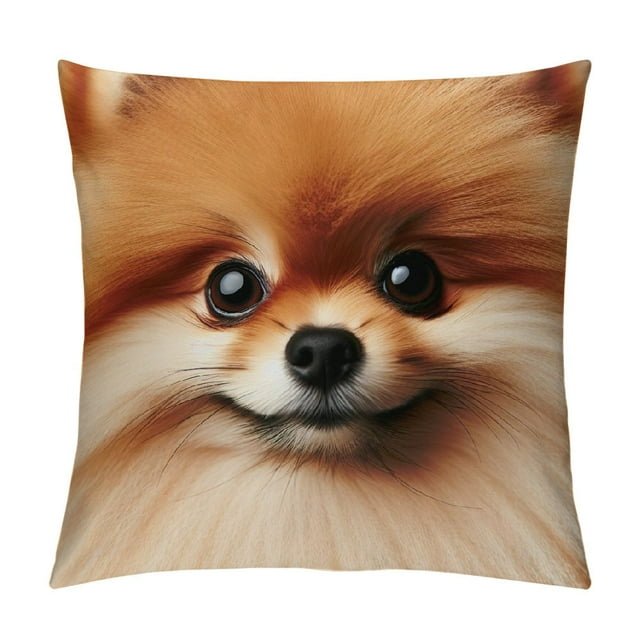 Erxjss Cute Pomeranian Dog Print Throw Pillow Covers Decorative Pillow
