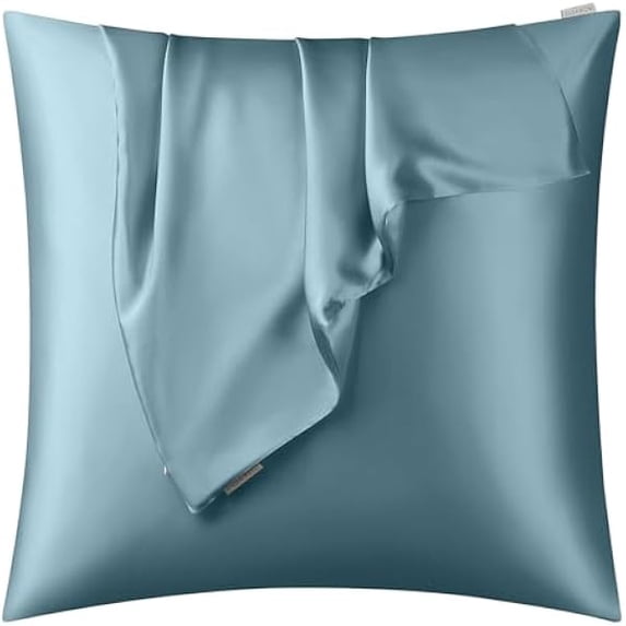 Eryueer 100% Natural Mulberry Silk Pillow case for Hair and Skin with Hidden Zipper 22 Momme Both Sides Real Silk Pillow Case (1pc 60x60cm, Blue Gray)