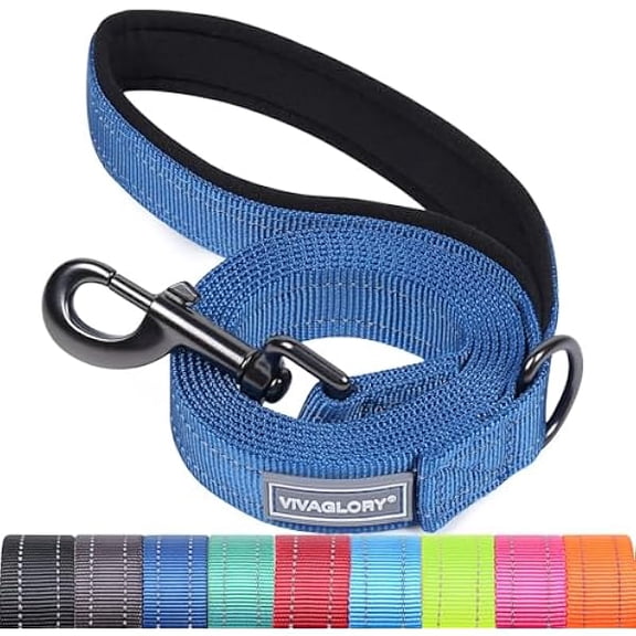 Eryueer Dog Lead Dailyx Dog Leash, Lead with Soft Padded Handle for Training & Walking, Heavy Duty & Double Layer Nylon for Pet Puppy, 90 x 2.5cm, Blue