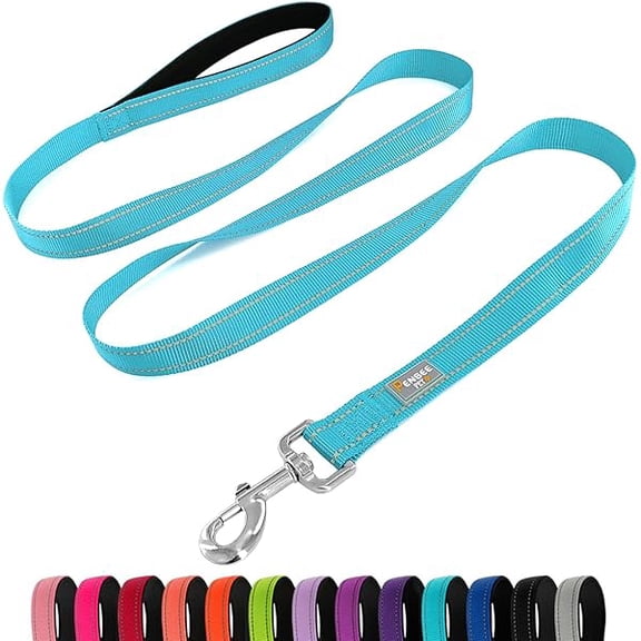 Eryueer Dog Leash 6 FT Padded Handle Nylon Reflective Dogs Leashes for Large Dogs Sky Blue