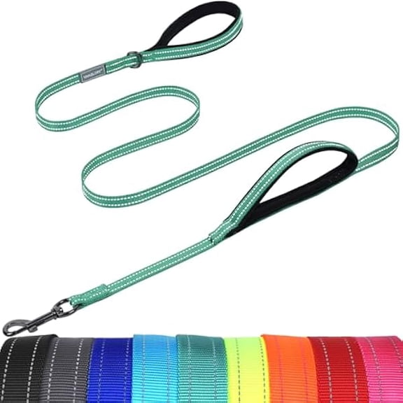 Eryueer Dog Leash Twingrip Double Handle Dog Leash with Traffic Handle & 2 Loop for Walking & Training, Traffic Control Reflective Heavy Duty for Puppy Pet, 4ft x 1/2in, Turquoise