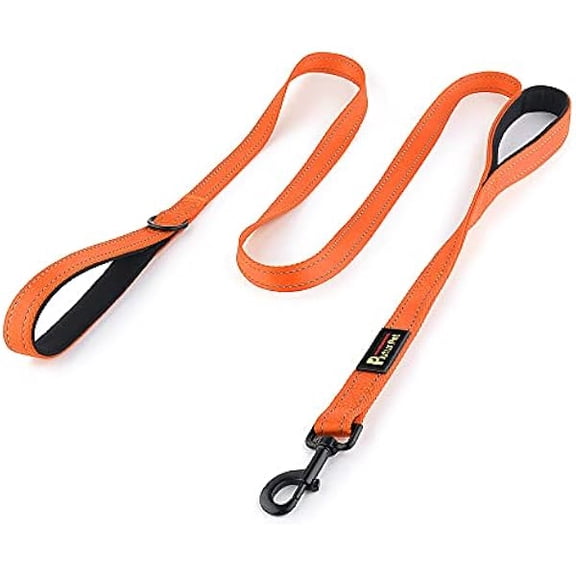Eryueer Plutus Pet Dog Lead 6ft Long,Traffic Padded Two Handle,Heavy Duty,Reflective Double Handles Lead for Control Safety Training,Leads for Large Dogs or Medium Dogs,Dual Handles Leashes(Orange