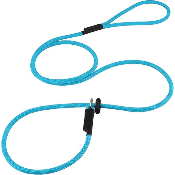 Eryueer Slip Lead Dog Leash Strong Nylon Training Rope with Spring-Loaded Adjustable Stopper 5/16" x 4/5/6ft -No Pull Heavy Duty Leash for Small Medium Large Dogs(Sky Blue, 6 FT)