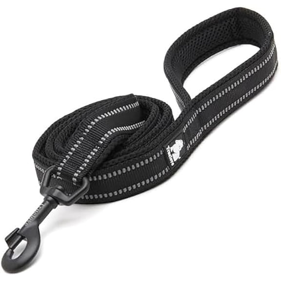 Eryueer TRUE LOVE Dog Leash Puppy Walking Lead Pet Chain Padded Reflective Night Safe Rope Length 110cm TLL2111(Black,S)