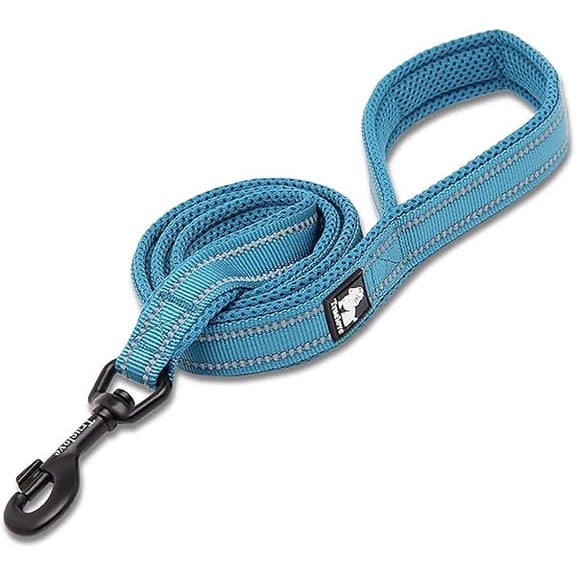 Eryueer TRUE LOVE Dog Leash Puppy Walking Lead Pet Chain Padded Reflective Night Safe Rope Length 110cm TLL2111(Blue,S)
