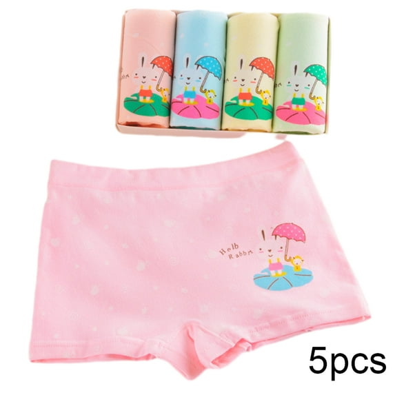 Esaierr 2-12Y Kids Baby Cartoon Boxer Briefs Underwear for Girls Cartoon Soft Briefs Panties Baby Cute Boxer Briefs Shorts Panties 5-Pack