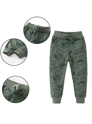 Astellarie Toddler Baby Boy Active Cotton Dinosaur Jogger Pant with Pocket  Age 2-7T: Buy Online at Best Price in UAE 