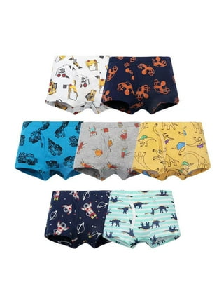 HAOAN Baby Soft Panty Cotton Underwear Little Boys Dinosaur Briefs Toddler  Undies Children Truck Panties(Pack of 3)-3T
