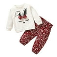 thumbnail image 1 of Esaierr Baby Newborn Girls 2Pcs Cotton Sweatshirt Outfits Long Sleeve Crew Neck T-Shirt Tops Rabbit Printed Long Pants Toddler Clothing Sets, 1 of 7