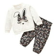 thumbnail image 1 of Esaierr Baby Newborn Girls 2Pcs Cotton Sweatshirt Outfits Long Sleeve Crew Neck T-Shirt Tops Rabbit Printed Long Pants Toddler Clothing Sets, 1 of 6