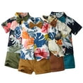 thumbnail image 1 of Esaierr Kids Toddler Boys Summer Shirt Outfits 6M-6Y Baby Hawaiian Outfits Print Button down Shirt + Shorts Vacation Beach Style Short Sleeved Shirt Set, 1 of 8