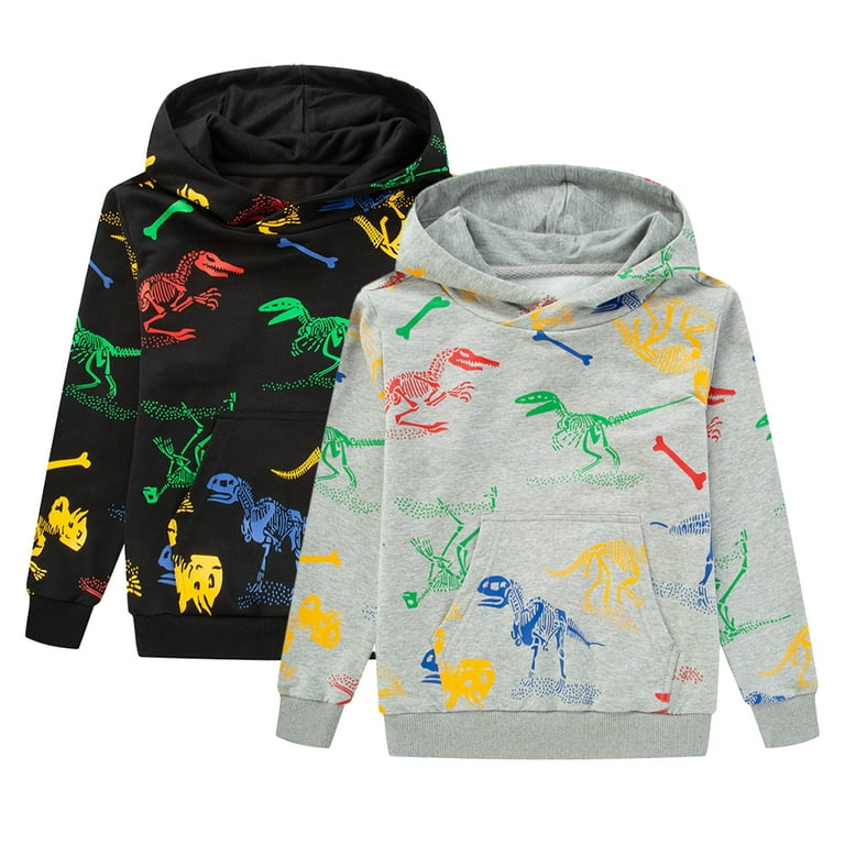 Esaierr Kids Toddler Dinosaur Hoodies Sweatshirt for Boys Pullover