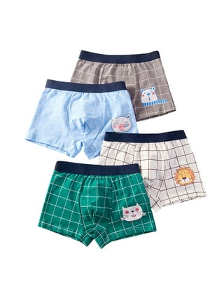 Esaierr Big Boys Underwear 2-18Y Kids Toddlers Teen Boys Cotton Underwear  Super Soft Breathable Boxer Briefs-Pack of 4 