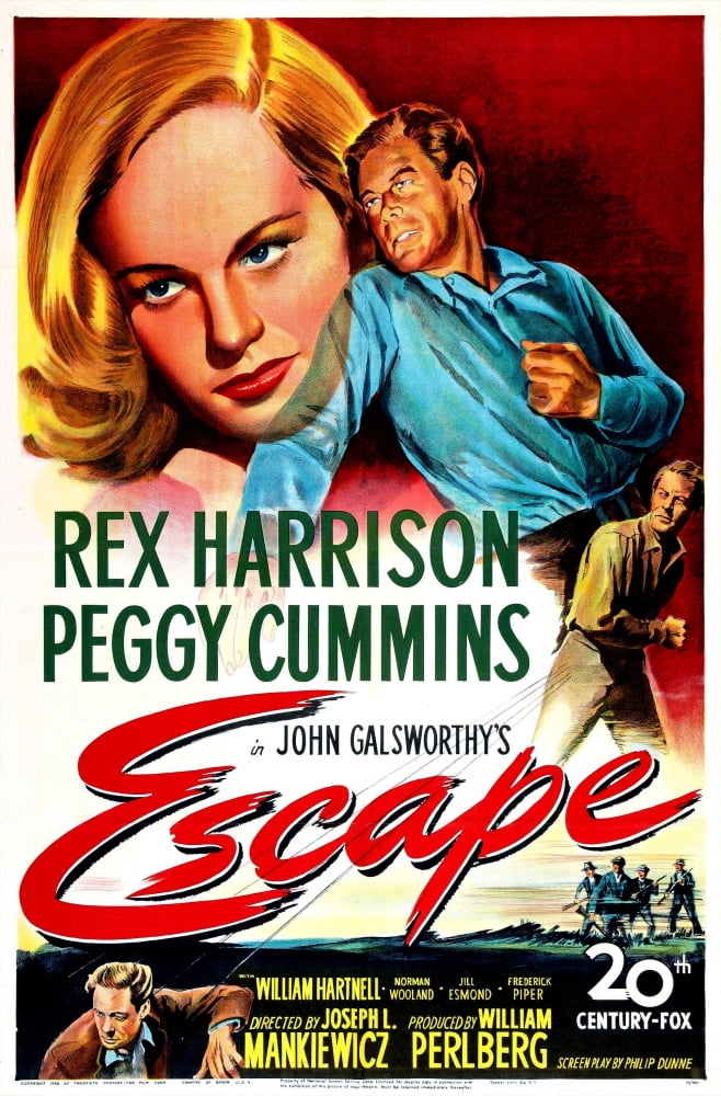 Escape Canvas Art - (24 x 36)