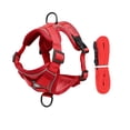 thumbnail image 1 of Escape-Proof Adjustable Soft Mesh Cat Harness Summer Pet Vest with Chest Cover and Leg Guards for Secure Indoor Use, 1 of 4
