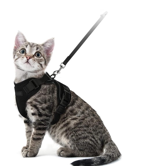Escape Proof Cat Harness, Adjustable Breathable Mesh Soft Vest Harness and Leash Set for Cats & Small Dogs, Reflective Walking Gear with Flower Pattern