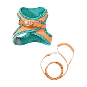 Escape Proof Cat Harness, Cat Vest Harness, Cat Harness and Leash Set, Reflective Vest, Outdoor Walking, Teal Orange, 1 Set
