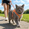thumbnail image 1 of Escape Proof Cat Harness & Leash Set Soft Mesh Reflective Vest Harness For Outdoor Walking And Travel, 1 of 3