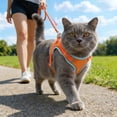 thumbnail image 1 of Cat Harness And Leash Set Adjustable Soft Mesh Cat Vest Harness With Reflective Strips Escape Proof Pet Outdoor Gear For Outdoor Walking Travel Kitten Adult Cat Dog Puppy, 1 of 3