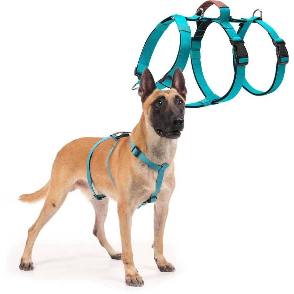 Escape Proof Dog Harness, No Pull Harness with Lift Handle, Adjustable Pet Vest with Front and Back Leash Clips for Medium Large Dogs Walking Hiking Training