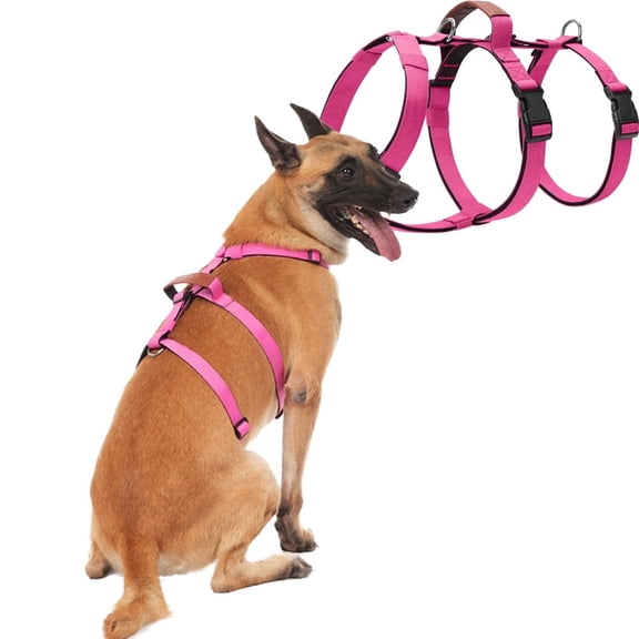 Escape Proof Dog Harness, No Pull Harness with Lift Handle, Adjustable Pet Vest with Front and Back Leash Clips for Medium Large Dogs Walking Hiking Training