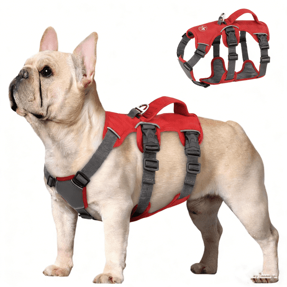Escape Proof Dog Harness - Reflective, No Pull with Padded Handle, Waterproof for Daily Walking & Training (Red, Chest 17-22')