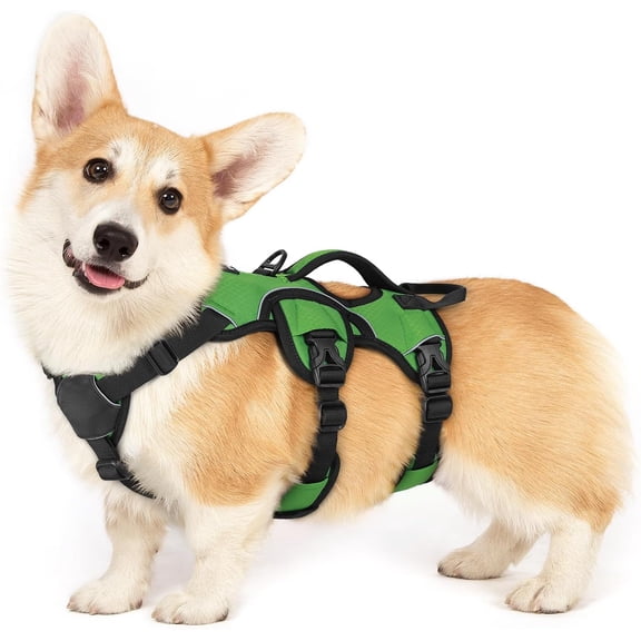 Escape Proof Dog Harness with Reflective Straps Adjustable No Pull Vest with Lift Handle and Leash Clip for Large Dogs Small Green