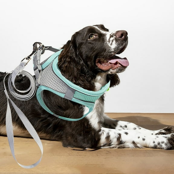 Escape Proof No Pull Dog Harness Vest with Reflective Leash Adjustable Front Clip Pet Walking Jacket for Large Dogs and Cats