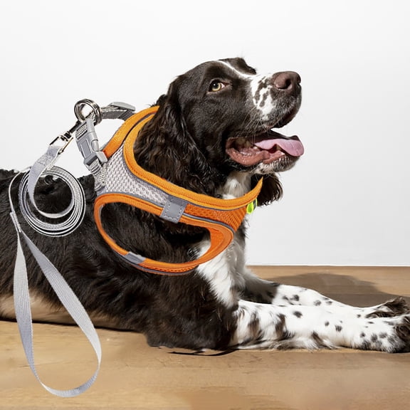 Escape Proof No Pull Dog Harness Vest with Reflective Leash Adjustable Front Clip Pet Walking Jacket for Large Dogs and Cats
