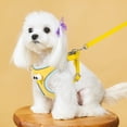 thumbnail image 1 of Escape-Proof Pet Chest Harness & Leash Combination - Vest-Style, Adjustable Sizes, Anti-Escape Design, Secure Fit - For Small/Medium/Large Pets With Chest Girth 14-16 Inch, 16-18, 1 of 4