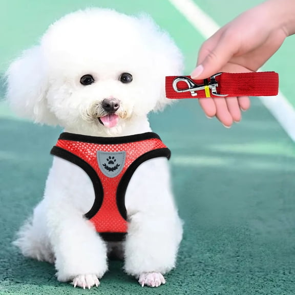 Escape Proof Soft Mesh Cat Harness and Leash Set Adjustable Reflective Vest Chest Strap Breathable Lightweight Walking Gear for Small Medium Cats Puppies Red XL
