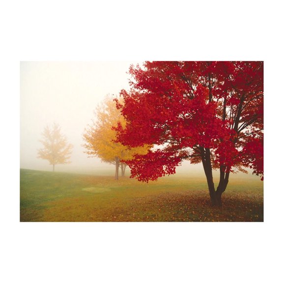 Escape Trees Autumn Poster (20x16)