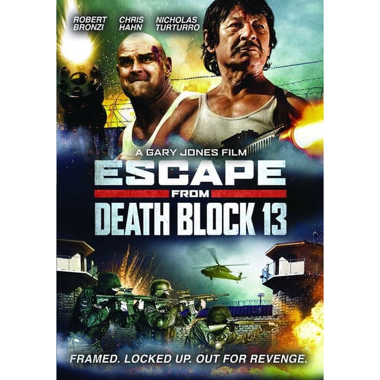 チェリビダッケ 13 DVD セルジウ・チェリビダッケ DVDコレクション（13DVD