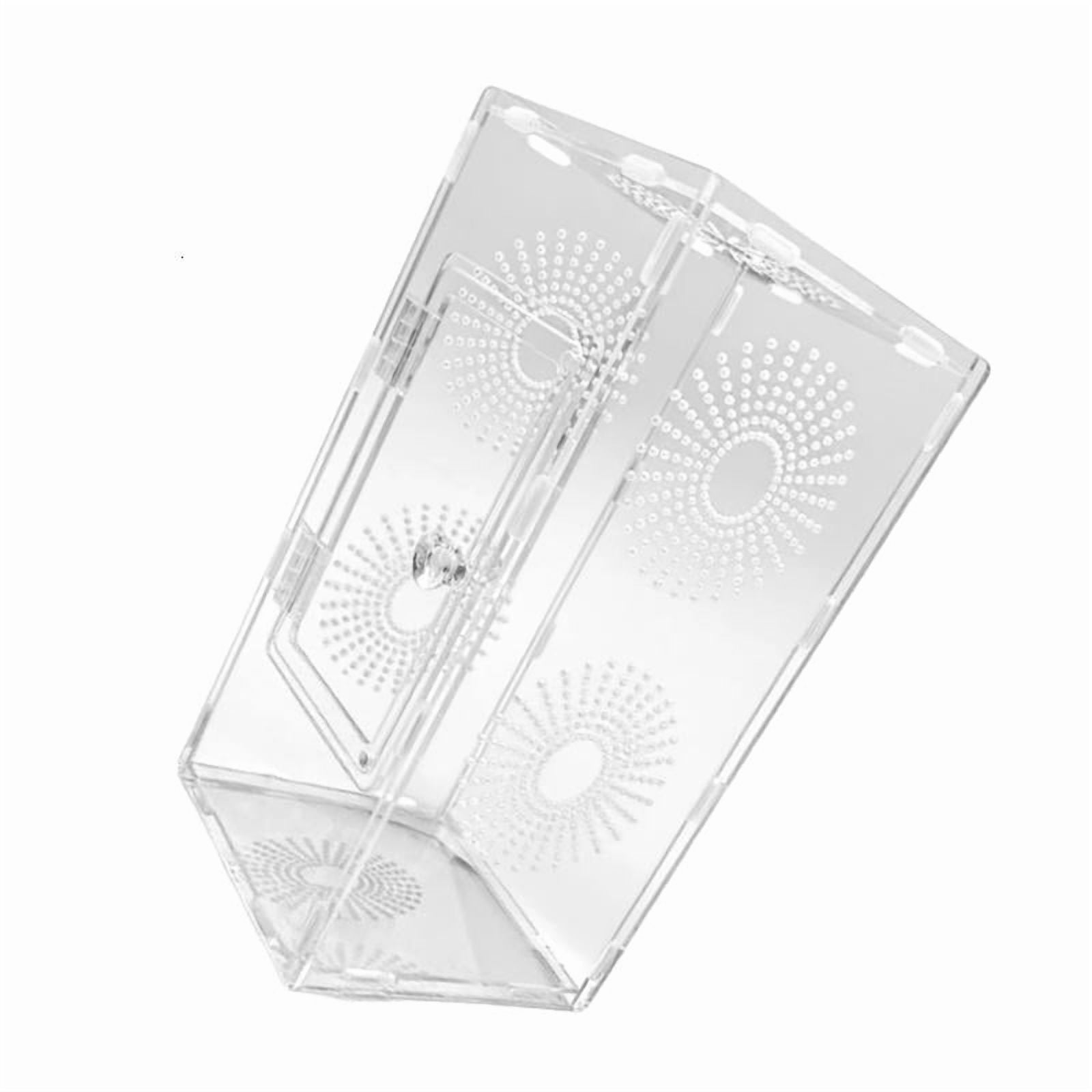 Escapeproof Pet Reptiles Terrarium Ventilation Jumping Spiders Observation Tanks