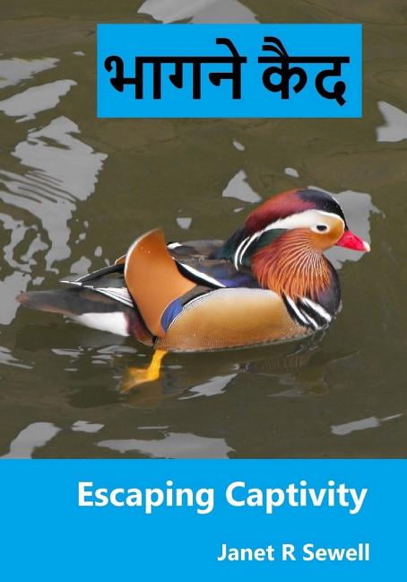 Escaping Captivity: A Simple Guide to Becoming Whole in Christ (Hindi ...
